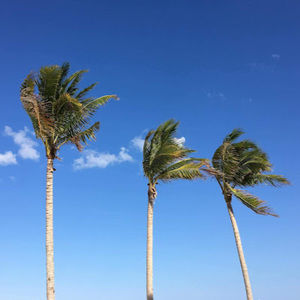 Meet your Posher, Haruna